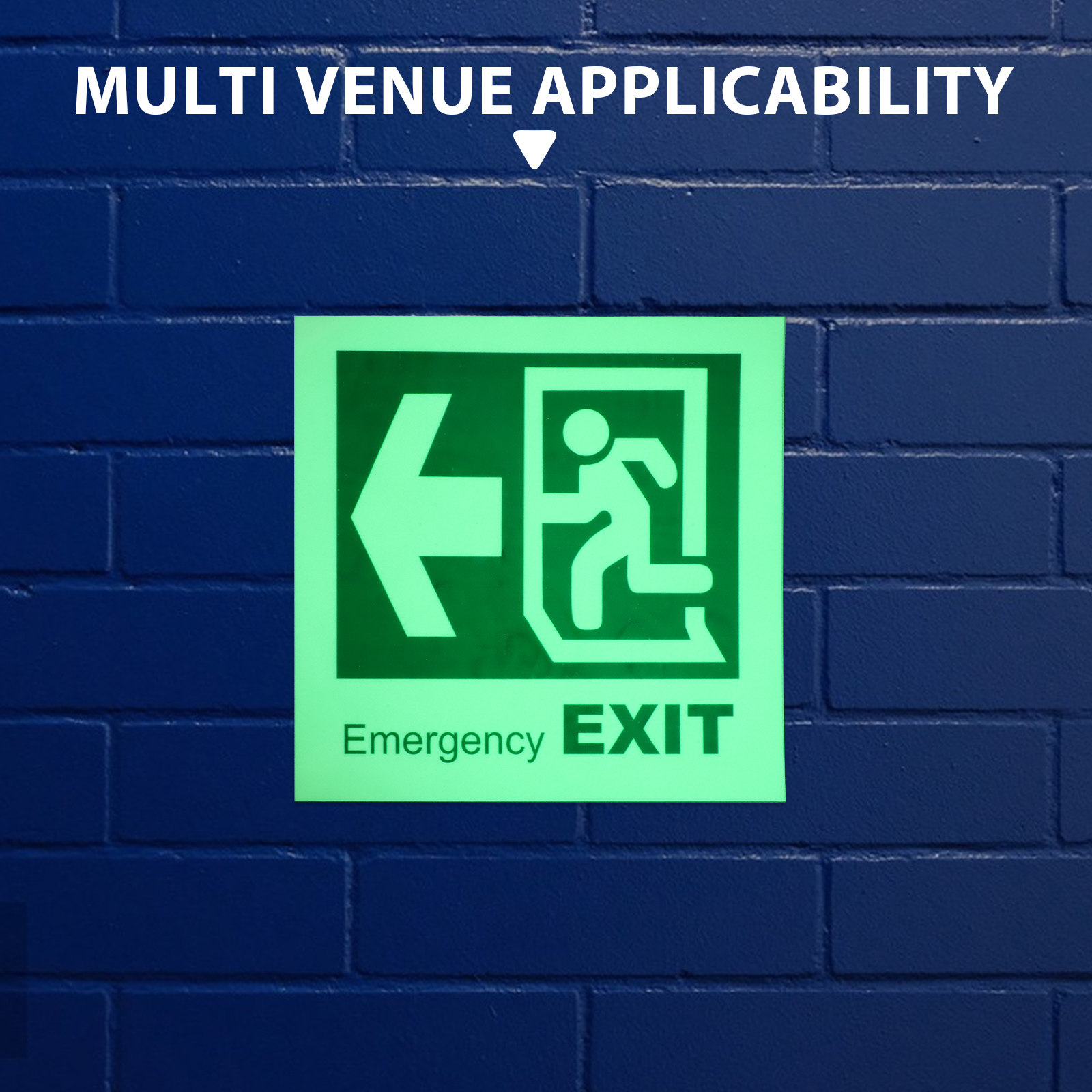 Luminous Emergency Exit Sign S - огляд і ціна Emergency Exit Sign
